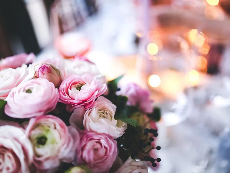 Cvetna Radionica — cveće za venčanje, Pančevo