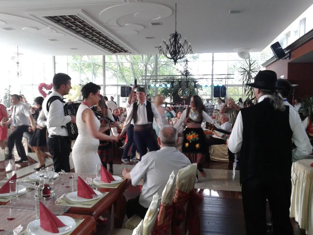 Vila Nešić — sala za venčanje, Loznica
