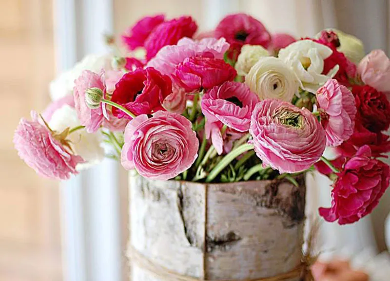 Cvećara Camellia Decor