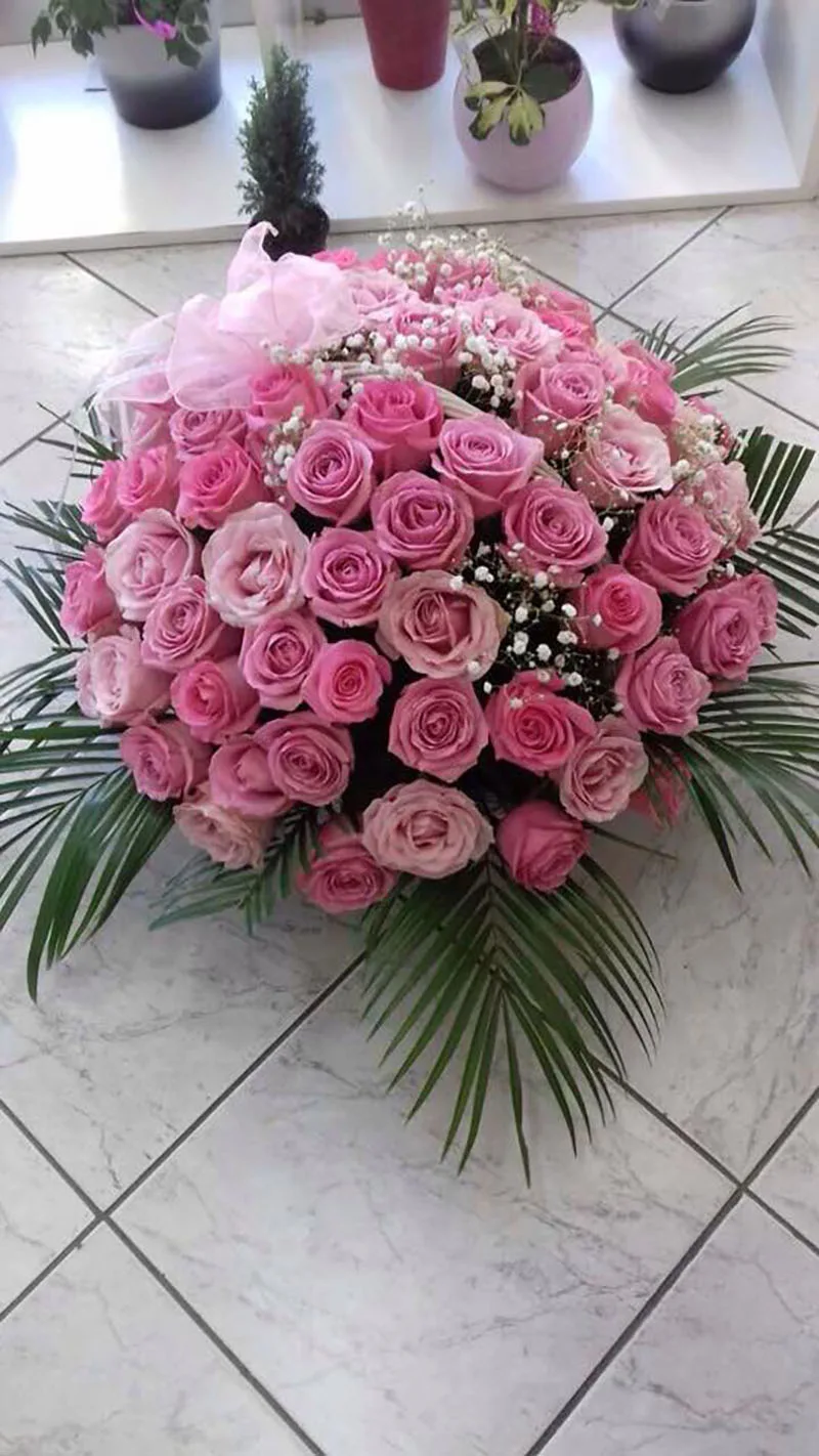 Cvećara Camellia Decor