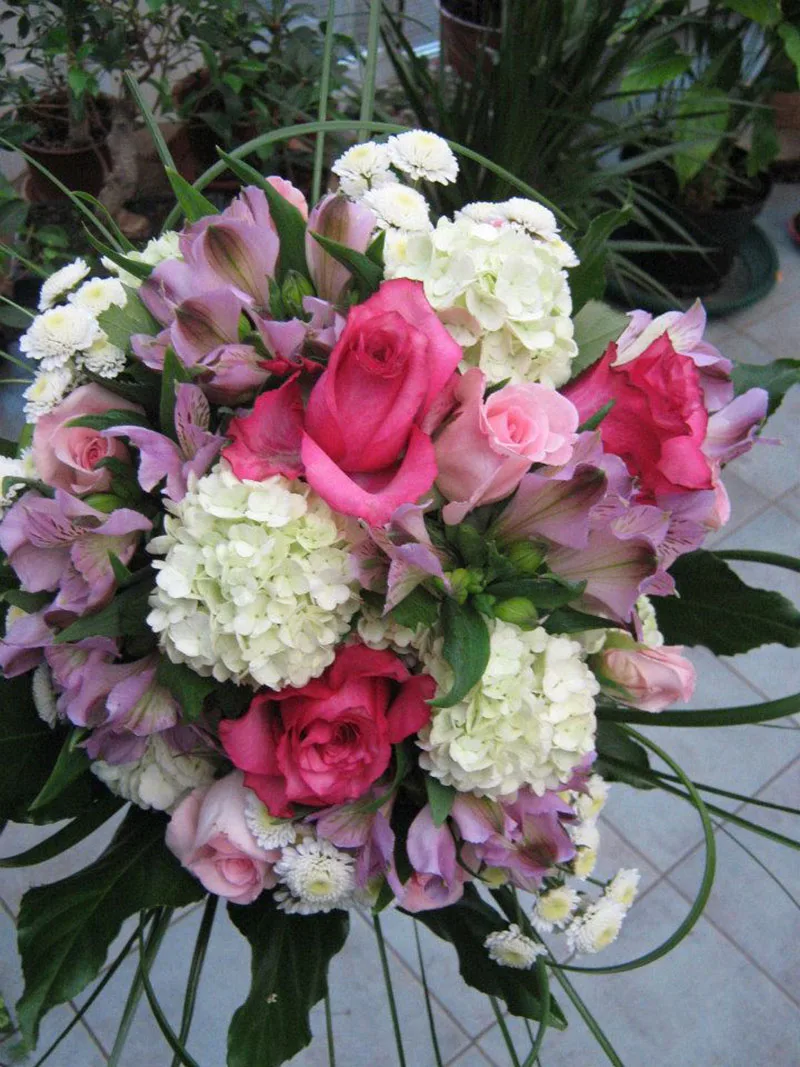 Cvećara Dahlia