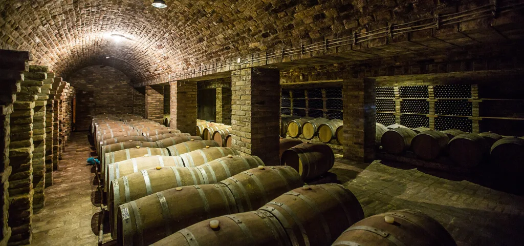 Vinarija Milisavljević — restoran za svadbu, Lipar (fotografija 4)