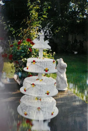Ana Torte