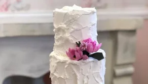 Daniva torte i kolači