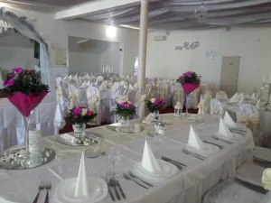 Svečana Sala Vujić