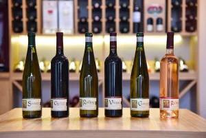 Vinarija Jović — restoran za svadbu, Knjaževac