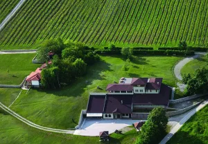Vinarija Milijan Jelić