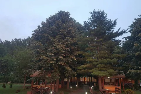 Dunavski Dragulj — venčanje na otvorenom Požarevac