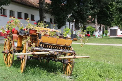 Zobnatica — sala za venčanje Bačka Topola