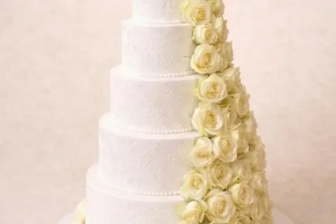 Šušić torte i kolači — poslastičarnica Beograd