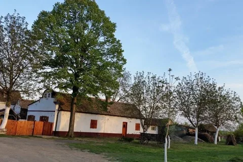 Salaš Isailovi — sala za venčanje Sremska Mitrovica