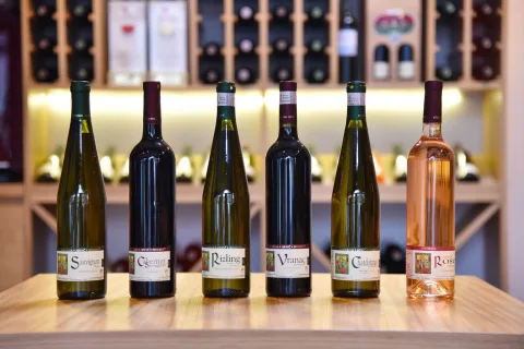 Vinarija Jović — sala za venčanje Knjaževac