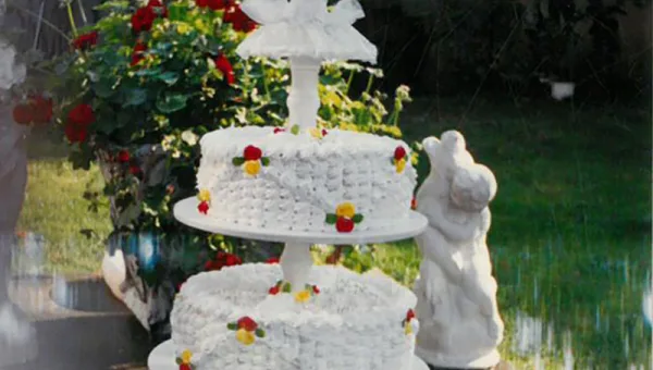 Ana Torte