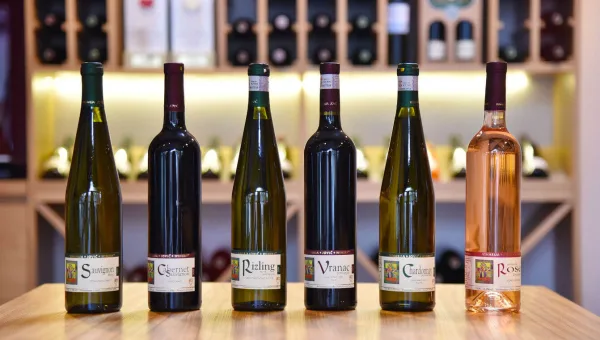 Vinarija Jović — restoran za svadbu, Knjaževac