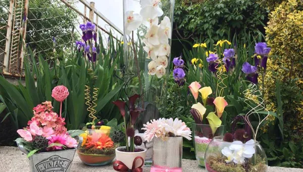Cvećara Bloom Room